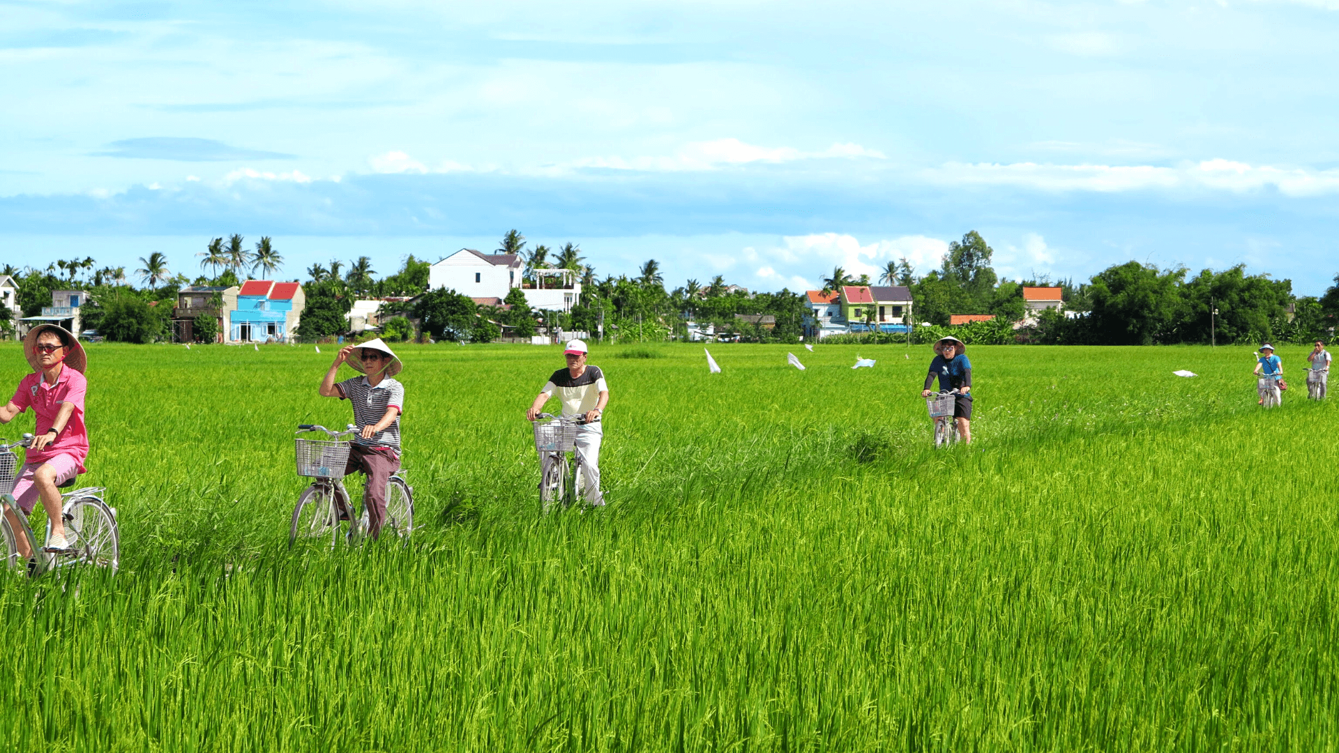 Đắm ch&igrave;m trong khung cảnh b&igrave;nh y&ecirc;n với đồng cỏ xanh ngắt, m&acirc;y trắng, nắng v&agrave;ng.